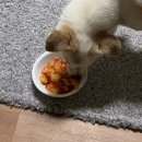 동대문엽기볶이 이미지