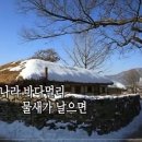 고향초(1947년) /장세정 이미지