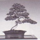 공간_空間