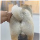 뷰티몽 이미지