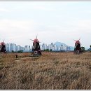 개미군단 이미지