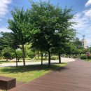 머꼬바 - 남구 번영로250번길 9 | 세이브존 노원점 머꼬바 떡볶이 포장해서 북서울 꿈의숲 나들이 갔다 왔어요