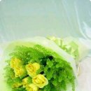 하얀노을 이미지