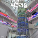 충남 서천 아이랑 가볼 만한 곳 국립해양생물자원관 '씨큐리움' 가성비 전시관, 고래 놀이터 이용 방법