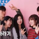 유니바라기