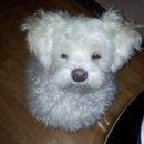 (주)코리아세븐 방이2점 | 나는 지금 치앙마이5