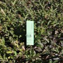 (주)네이온 이미지