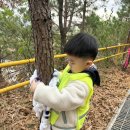 🌳놀숲학교 - 나무 목도리, 대나무 실로폰🌳 이미지