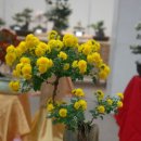 보강천1 이미지