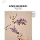 하이클래스 클리프 이미지