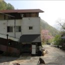 단양 가족·단체 여행지 찾는다면? 소백산 근처 힐링 펜션 ‘구구산장’ 추천해요! 구구산장 단양숙소