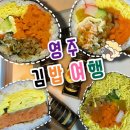 영주집 | [영주] 최애 김밥집 “김밥여행” 배달 후기