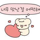 연어참잘하는집 이미지