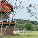 도담목장 이미지