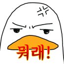 (주)홍탕 이미지