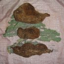 1000년건강원 이미지