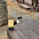 성골목장 | 서산 운산 한옥카페 한가로이ㅣ주차팁ㅣ내돈내산솔직후기