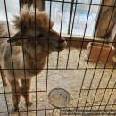 UR(오산시)-[성호대로]-하-16 | 경기도 아이와 가볼만한 곳 19 군데 간단 후기(경기 남부 위주, 4살~5살 추천)_(2/3)