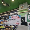 베리팜 | 블루베리 택배 고객 후기(부산베리팜)