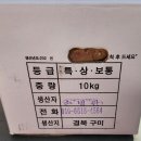 봄 맞이 최고 비싸게 팔아요 땅두릅 머위 쑥 부추 풋마늘 삼동초 청상추 표고 이미지