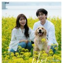 나올레3 뉴스1