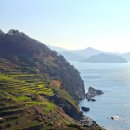 다랭이마을 안내소 앞 | [경남/남해] 다랭이마을: 푸른 바다와 어우러진 노란빛 꽃물결(2026.04.02)