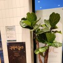 뚜레쥬르 진도점 이미지