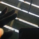 삐가번쩍 이미지