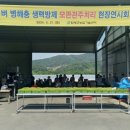 관주 이미지