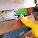 모다페카페 이미지