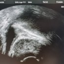 우비뇨기과의원 이미지