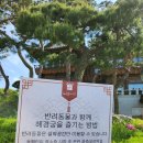 혜경궁베이커리 | 부모님 모시고 갔다가 감탄한 화성 초대형 한옥카페 | 혜경궁 베이커리 내돈내산 솔직후기
