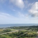 청춘공인중개사사무소 이미지