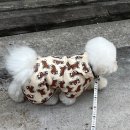 클러스터라운드 | 클러스터 라운드 CRR 강아지 옷 , 겨울 블랭킷 포니 소프트 코듀로이 보아 블랭킷 | 내돈내산 후기