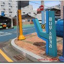 김석년가축병원 네이버블로그