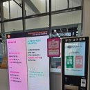 세종 도시와 자동차 | [세종] 국립어린이박물관 아이와 가볼 만한 곳 완전 추천! 예약 및 솔직 후 기 (주차/꿀팁)