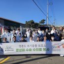 수약품 이미지