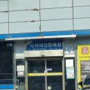 어촌식당 | 강서수산시장 직접 고른 회 물회 해주는 어촌식당 후기