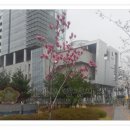 정재우행정사 사무소 이미지