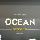 서울 전시 추천｜충무아트센터 내셔널지오그래픽 특별기획 OCEAN 가장 거대한 기록 (+ XR 체험 후기)