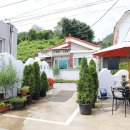 청주민박 | 청주 청남대펜션 체험과 숙박 자연 속에서 머무는 문의청남대 후기