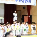 늘품태권도전문도장 네이버블로그