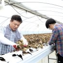 김기성 농장 이미지