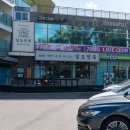 이호테우 비치해변 | 헤어나올수없던 제주 이호테우신라스테이 맛집 일도전복제주공항점