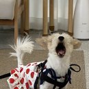 마리네일 이미지