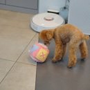 더조은동물의료센터 이미지