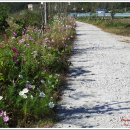 금계모텔 이미지