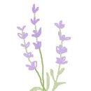 31140-9-20-5 이미지