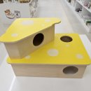 패러그린샵 명지점 이미지