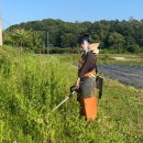 정선영농장 이미지